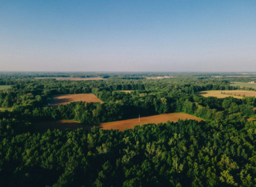 Aerial View of Vacant Lots of Land